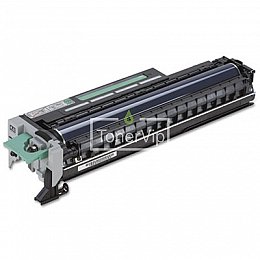 Купить Ricoh D1272110, доставка D1272110