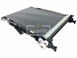 Купить Ricoh D1176002, доставка D1176002