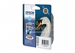 Купить Epson C13T08154A10, доставка C13T08154A10