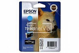 Купить Epson C13T09654010, доставка C13T09654010