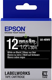 Купить EPSON C53S654009, доставка C53S654009