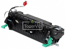 Купить Ricoh D1204002, доставка D1204002