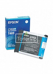 Купить Epson C13T483011, доставка C13T483011