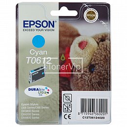 Купить Epson C13T061240, доставка C13T061240