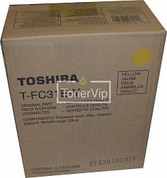 Купить Toshiba T-FC31EY, доставка 6AG00002002