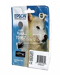 Купить Epson C13T09674010, доставка C13T09674010