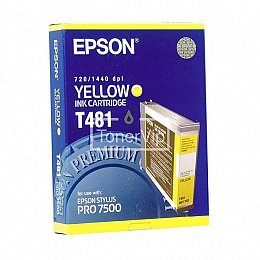 Купить Epson C13T481011, доставка C13T481011