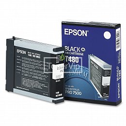 Купить Epson C13T480011, доставка C13T480011