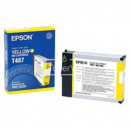 Купить Epson C13T487011, доставка C13T487011