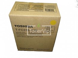 Купить Toshiba T-FC31EYN, доставка 6AG00002006