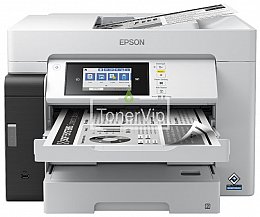 купить МФУ Epson M15180, доставка C11CJ41408