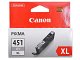 Картридж Canon CLI-451GY XL купить